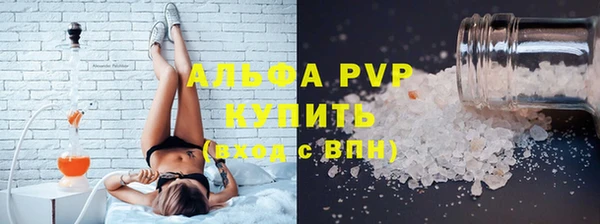 прущие грибы Абинск